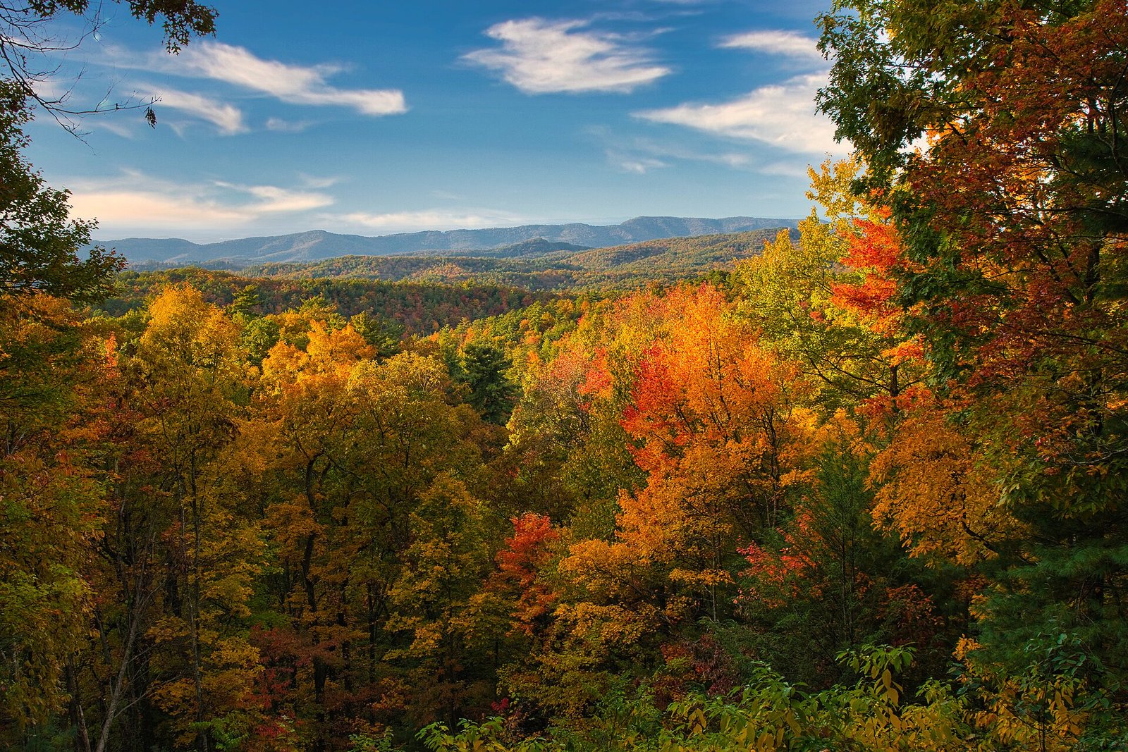 10 of Tennessee’s Favorite Places to Visit, According to Locals